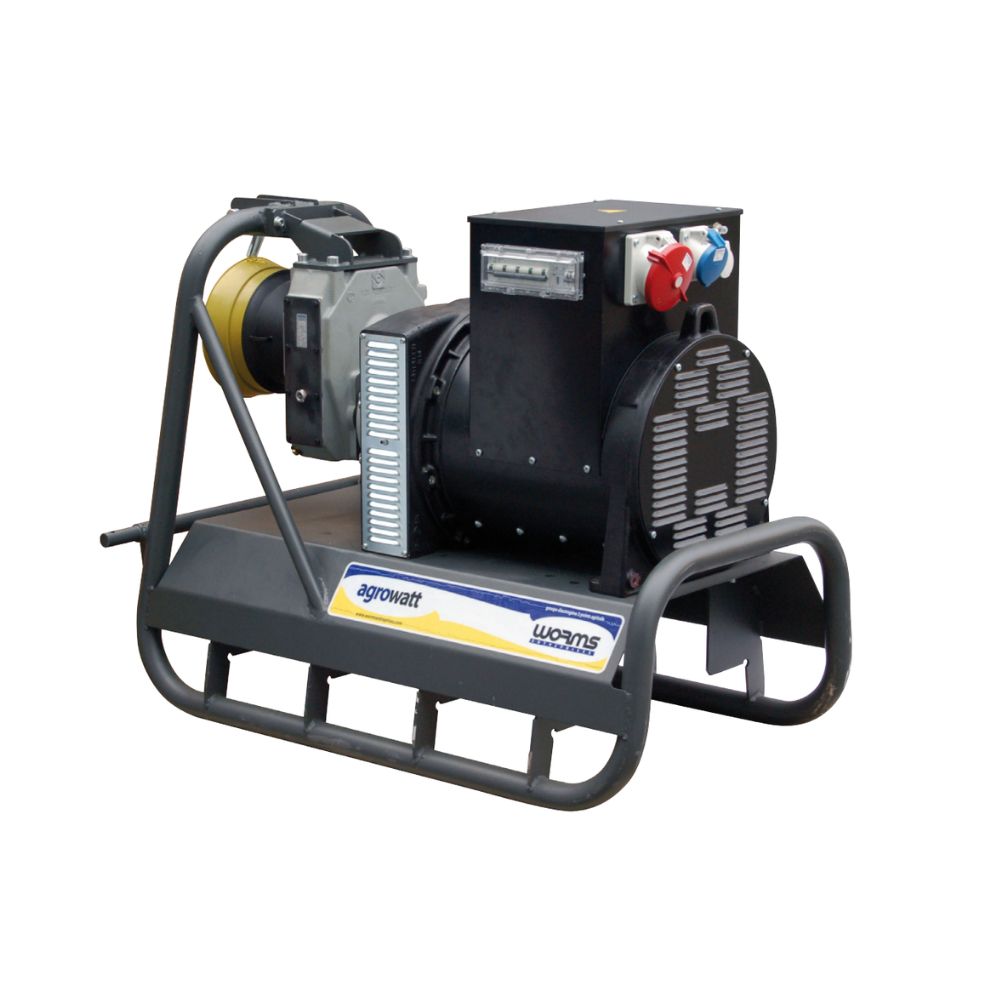 Alternateur AGRO 63 4P + AVR - IMER - 200002010
