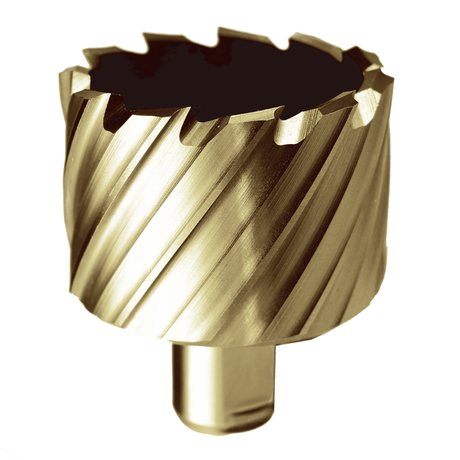 GOLDFINGER - Fraise HSS-Co à revêtement TiN Ø 44 x 30 mm JEPSON - 490244TiN