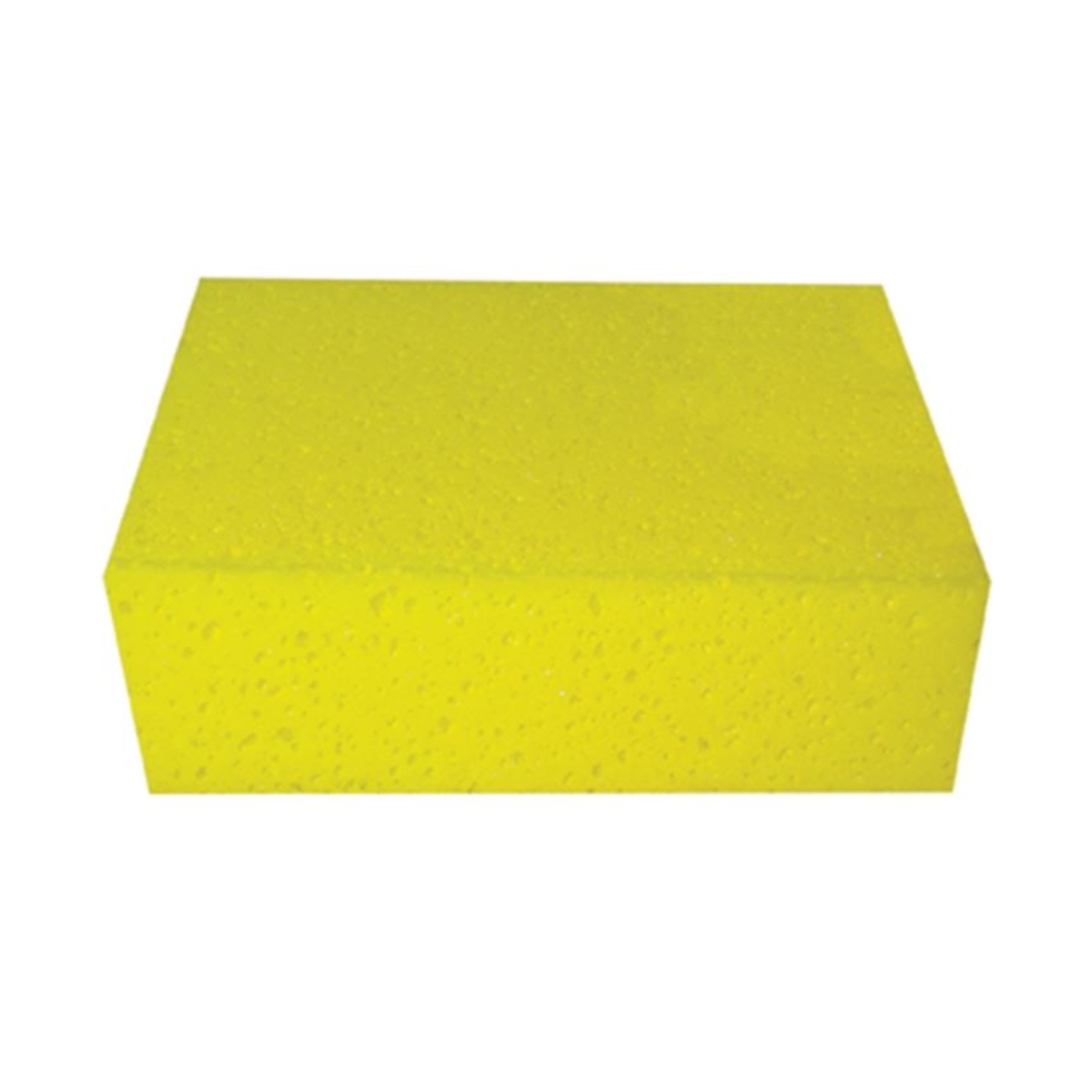 EPONGE A FORTE ABSORPTION 19,5X13X7cm - KAPRIOL - 25712