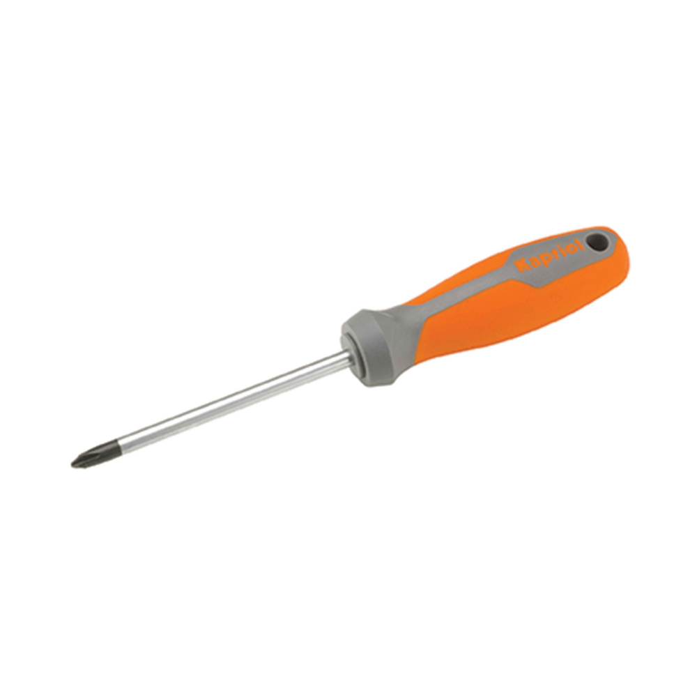 TOURNEVIS CRUCIFORME POZI 1X100MM - KAPRIOL - 33529