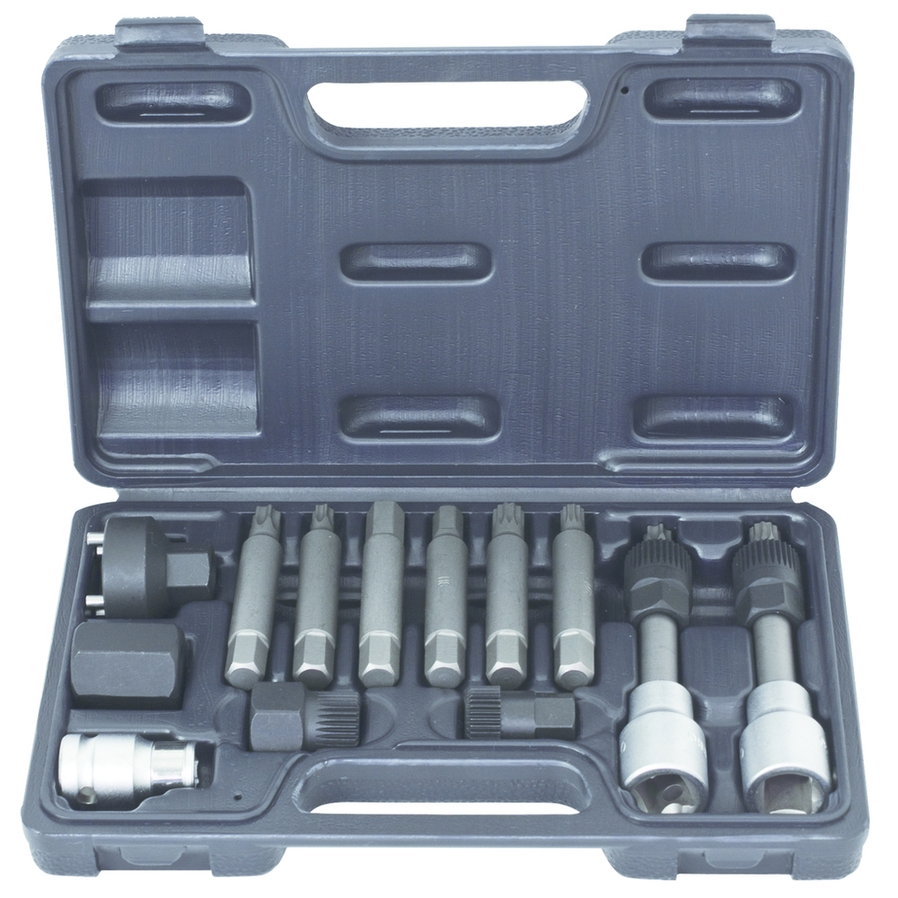 Module d'outils pour poulies débrayables d'alternateurs 13pcs KS TOOLS - 150.3100