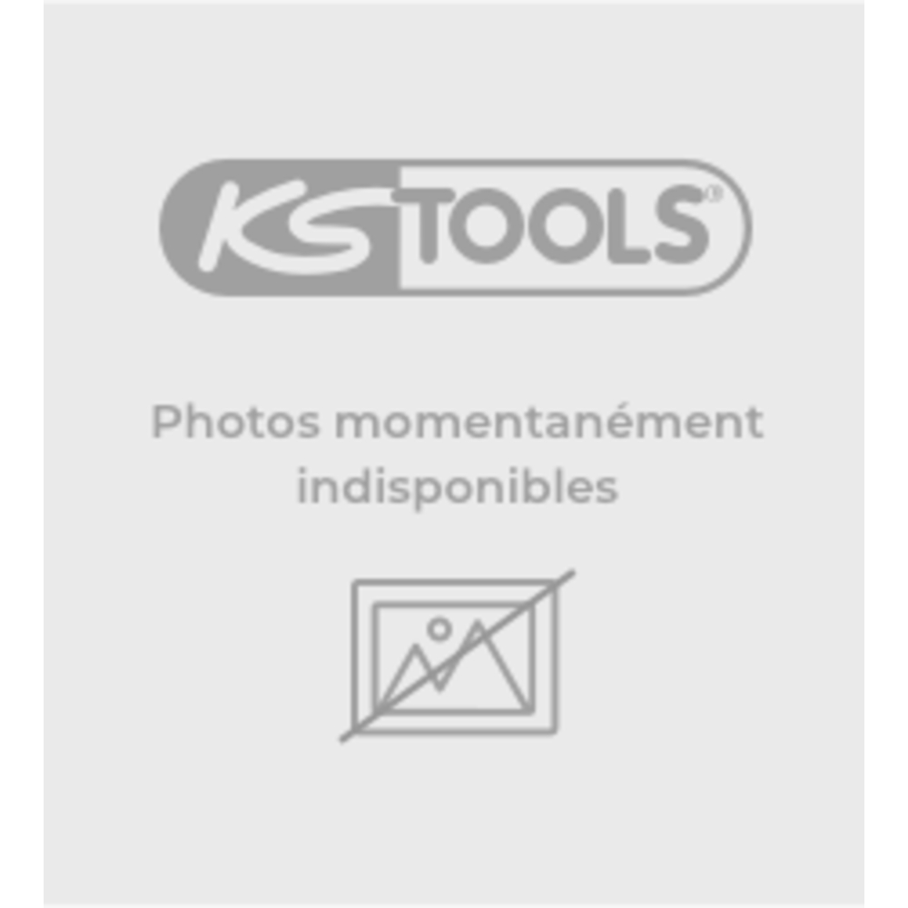 Clé à ergot brunie pour écrous à empreintes sur le dessus 13 mm KS TOOLS - 517.2013