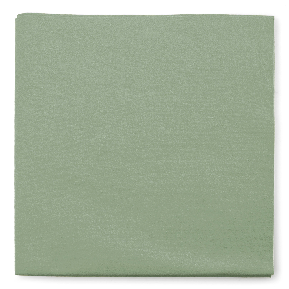 Chiffonnette multiusage en ultra-microfibre EVERLY 40x40 cm par 5 KÄRCHER - 9.212-049.0