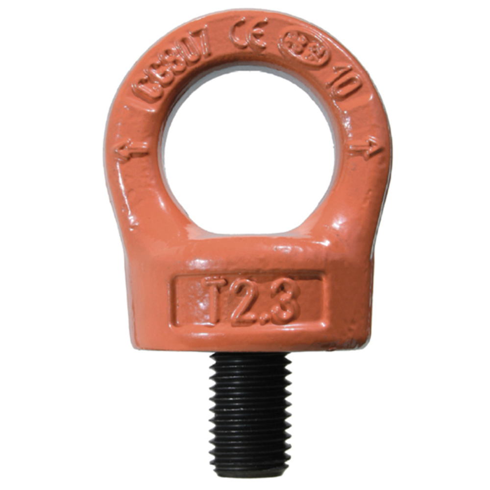 ANNEAU DE LEVAGE M24 CMU 3,2 T ÉMERILLON AVEC CLÉ GRADE100 LEVAC - 50-807F