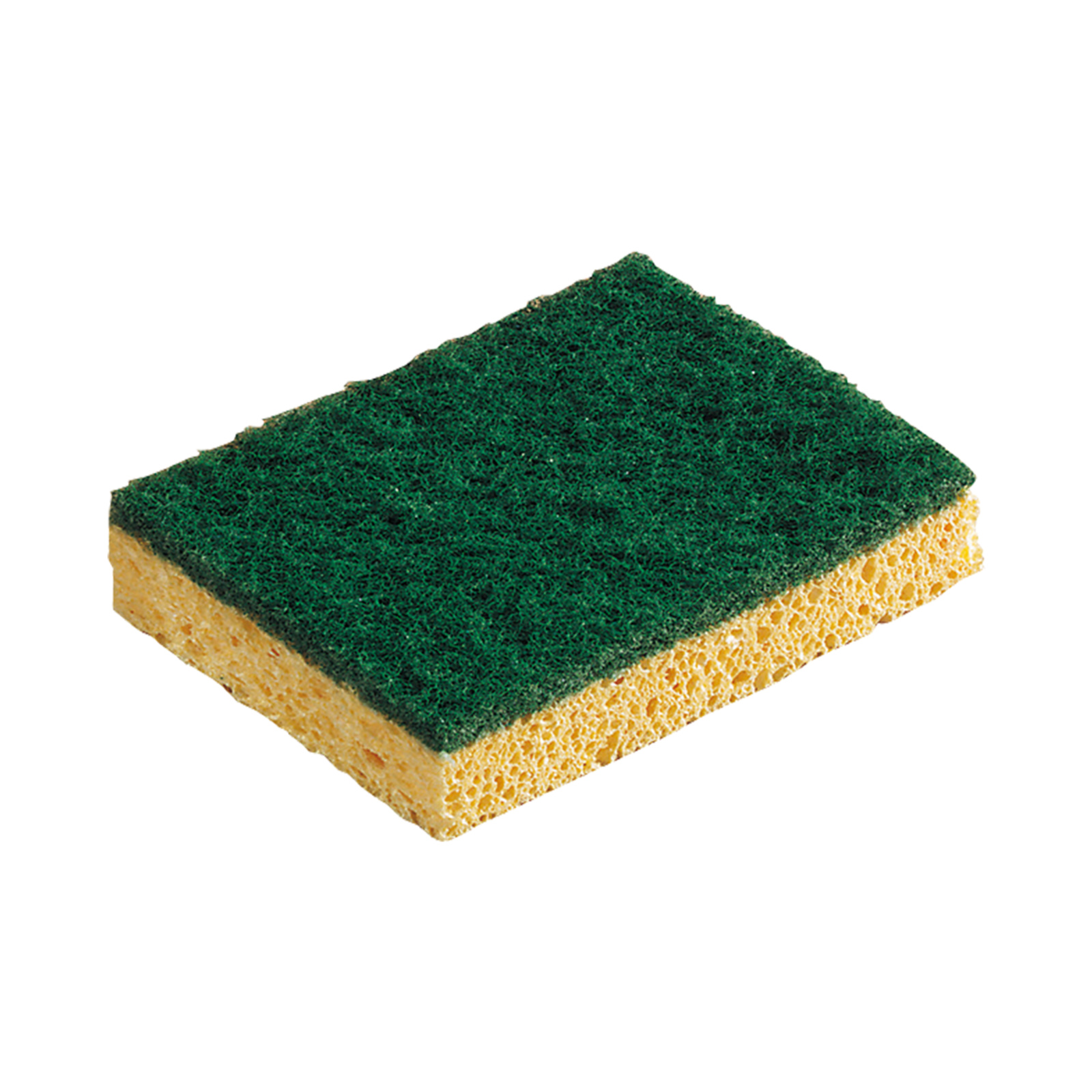 Éponge végétale Abrasive Taille 120 x 90 x 26 mm L'OUTIL PARFAIT - 590000