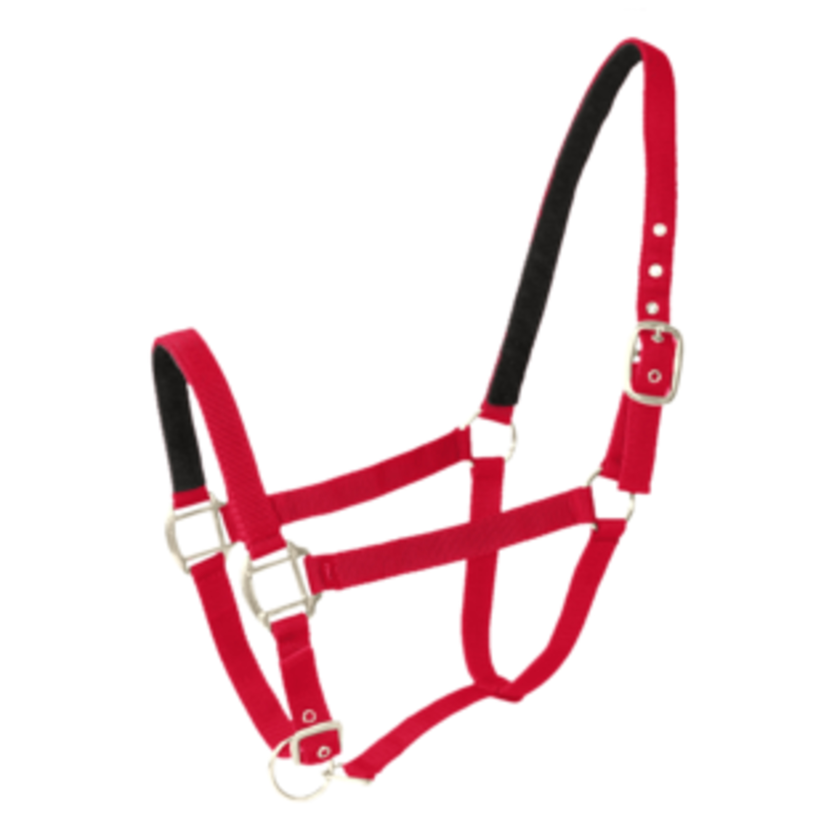 Licol Doublé Cuir Poney Rouge LACME - 805000