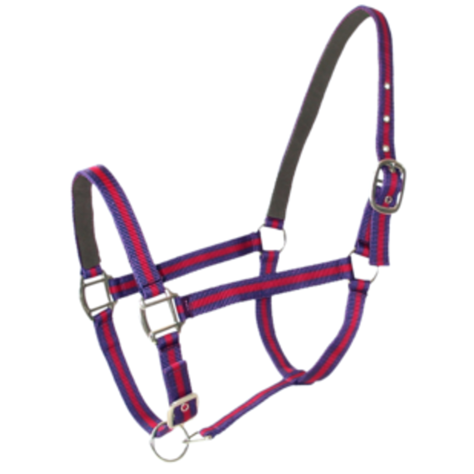 Licol Doublé Cuir Poney Bleu Rouge LACME - 805060