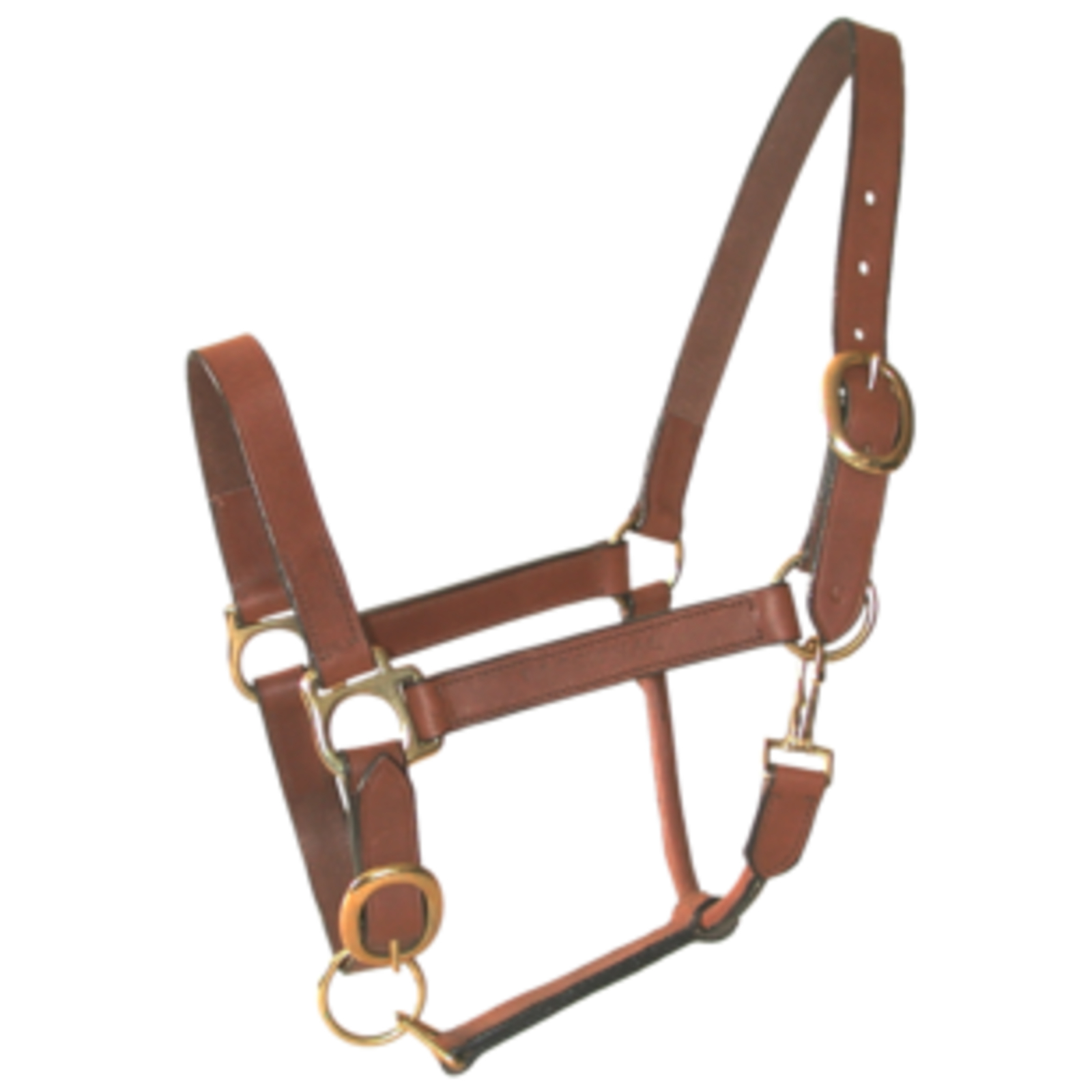 Licol Cuir Huile Cheval Marron LACME - 808699
