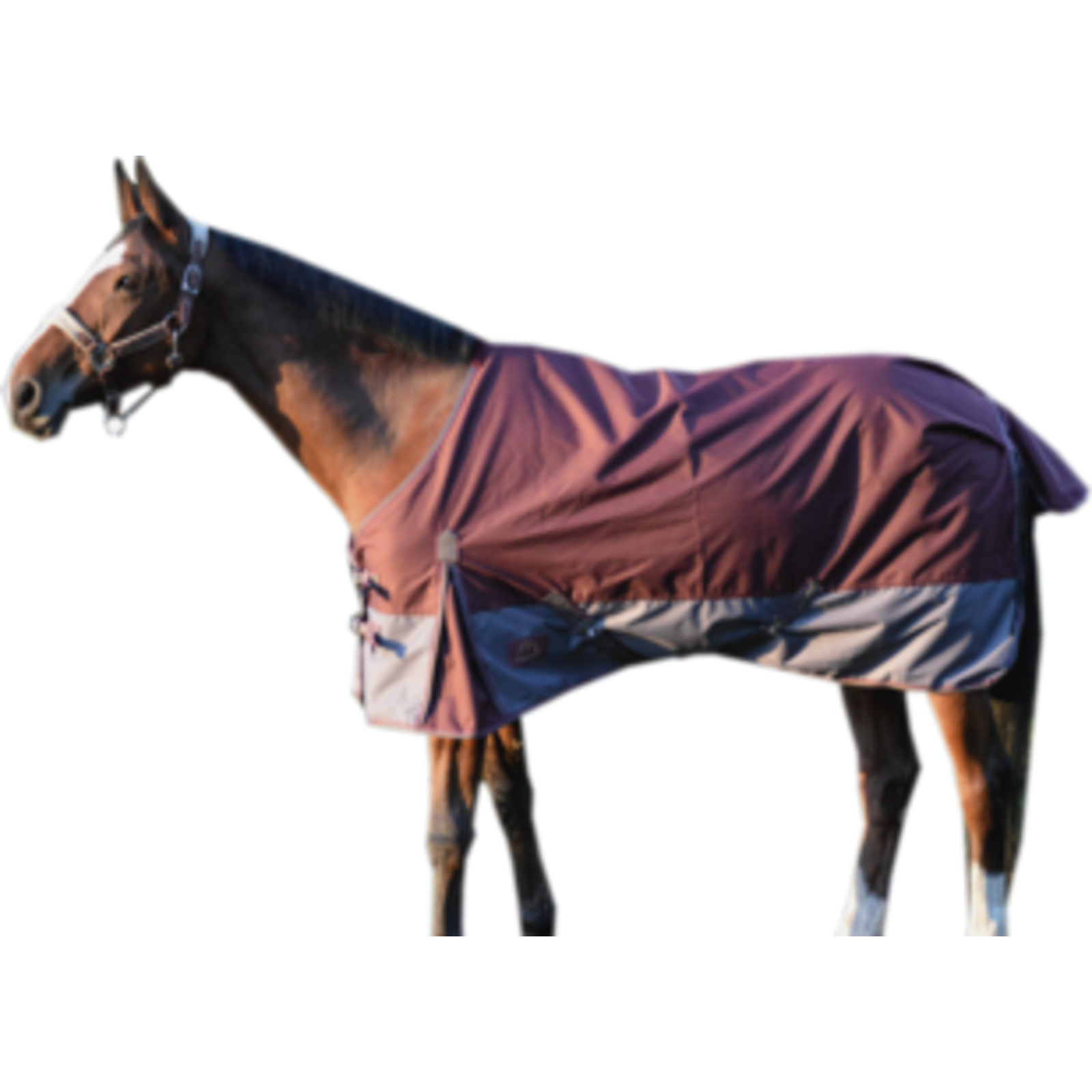 Chemise Imperméable 125 Cm Bordeaux En Sac Zippé LACME - 835601