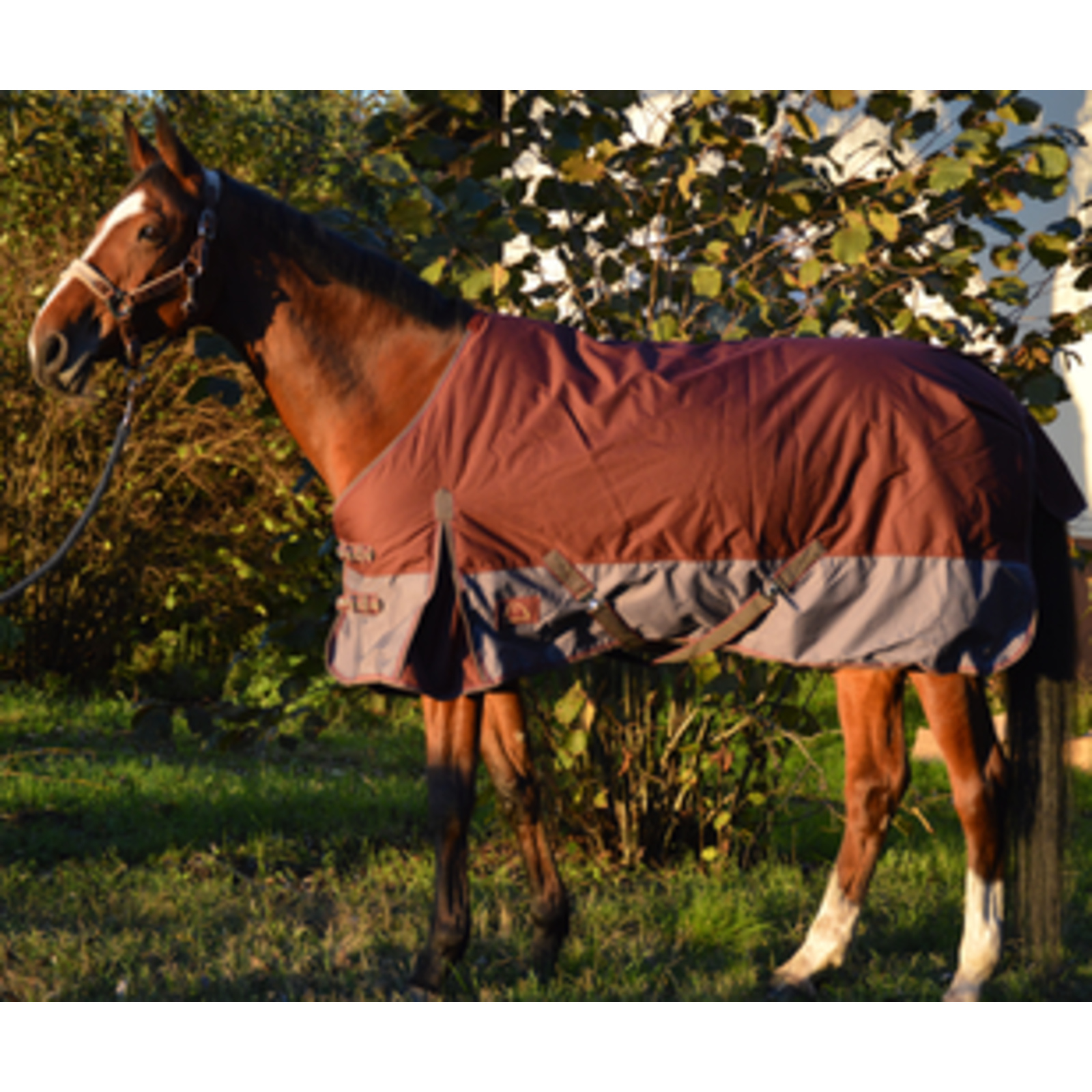 Couverture D'Hiver 135 Cm En Sac Zippé LACME - 836100