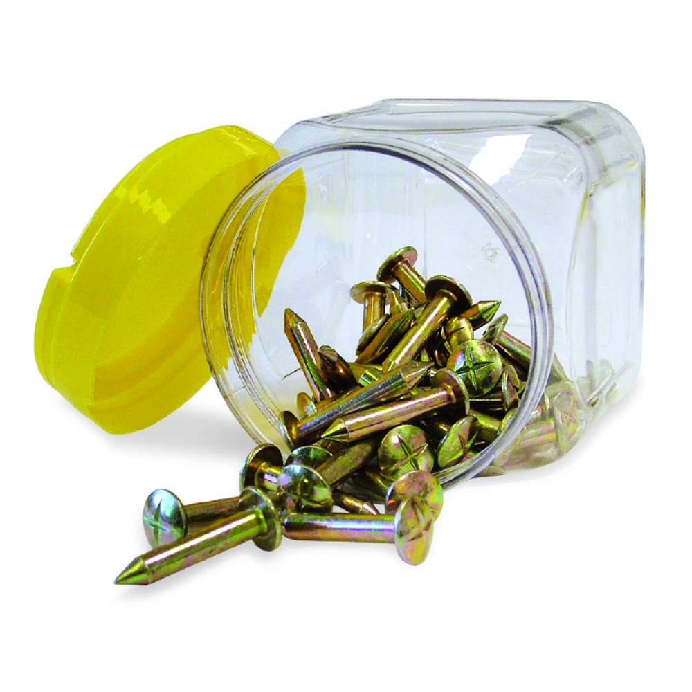 Clous d'arpenteur acier 50 mm D9 mm METRICA 100PCS - 00250