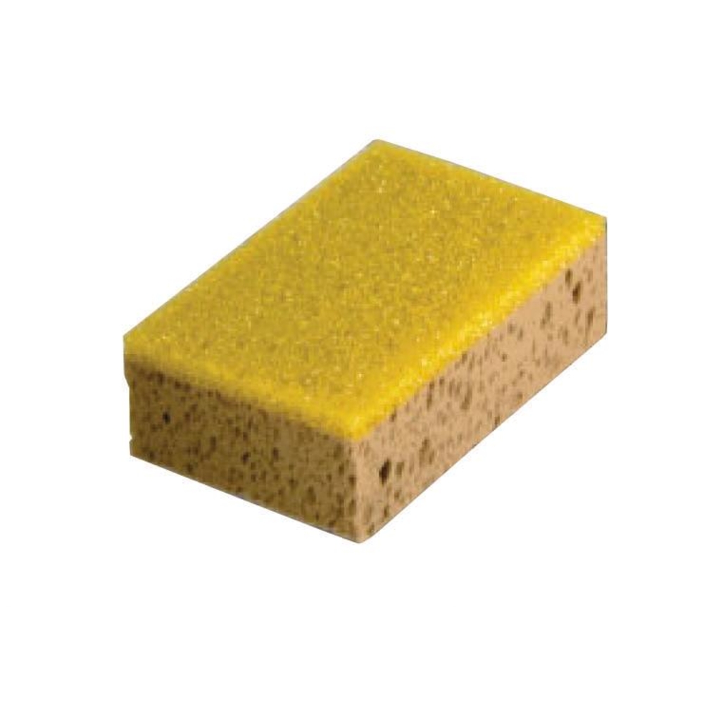 EPONGE HYDROGRATTANTE 180 X 120 X 50 MONDELIN - 155910
