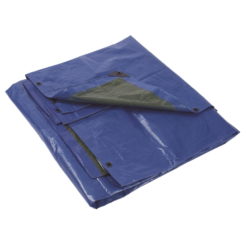 BACHE 4 X 5 M VERT/BLEU MONDELIN - 841240