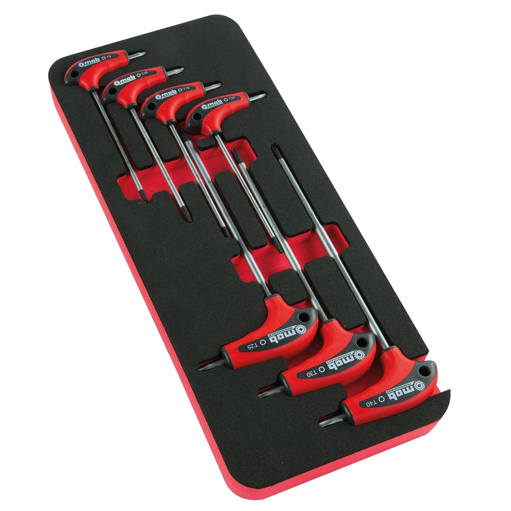 MODULE MOUSSE 7 CLES MALES EN T TORX MOB - 9821007001