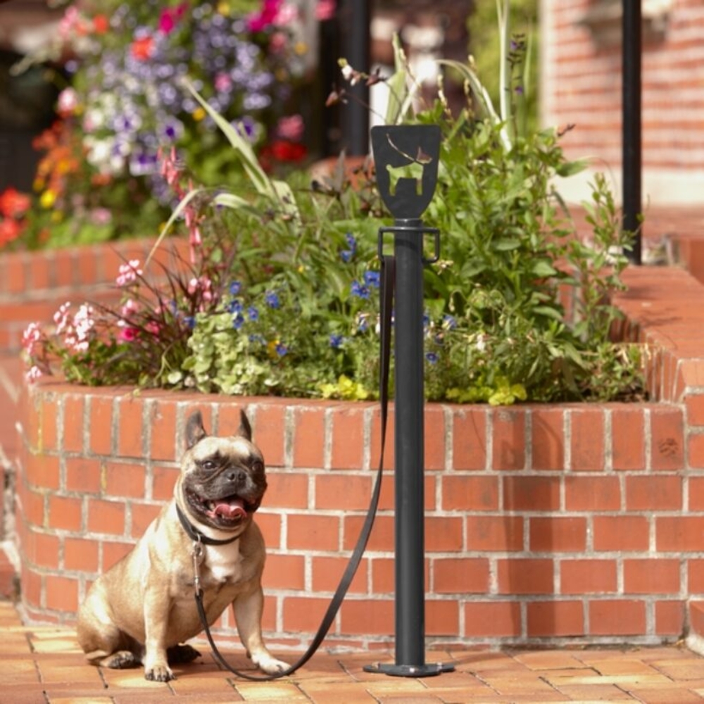 Potelet accroche laisse de chien - MOTTEZ - B363SDOG