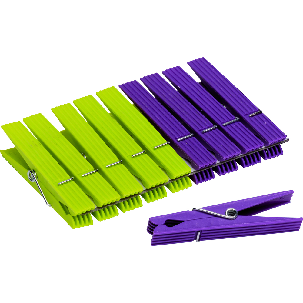 Paquet de 10 pinces à linge - CASACOLOR - 449701