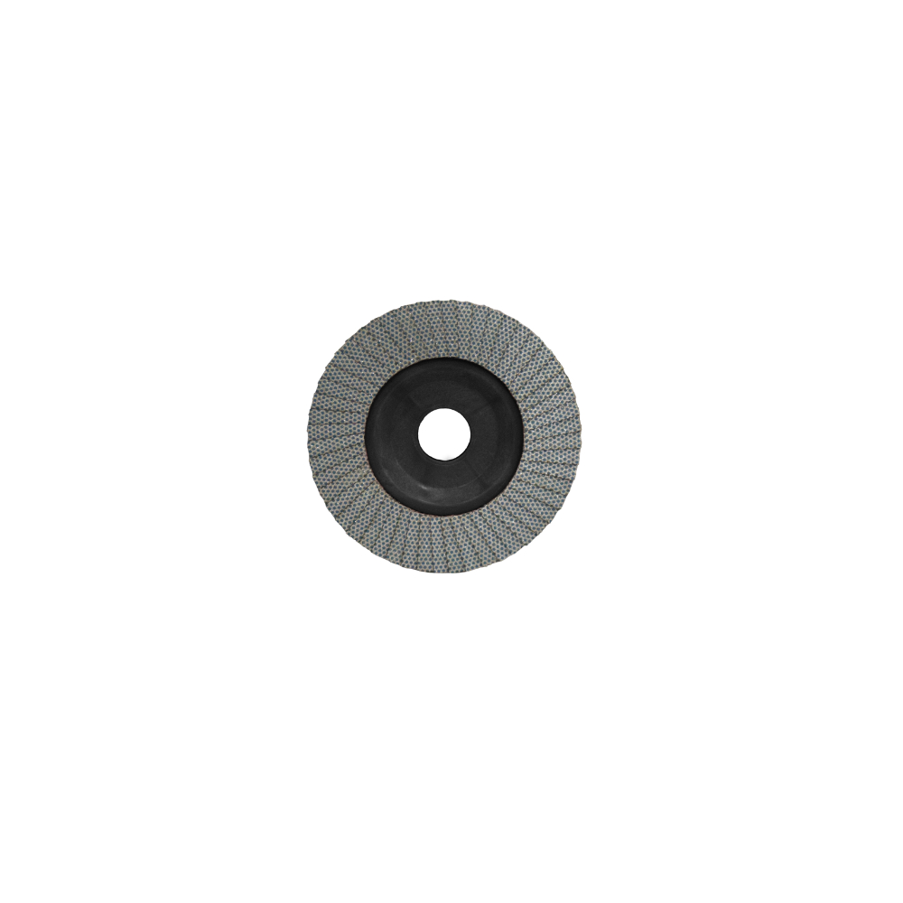 Disque à lamelles diamant pro 50/60 125 mm 22.2 RUBI - 32997
