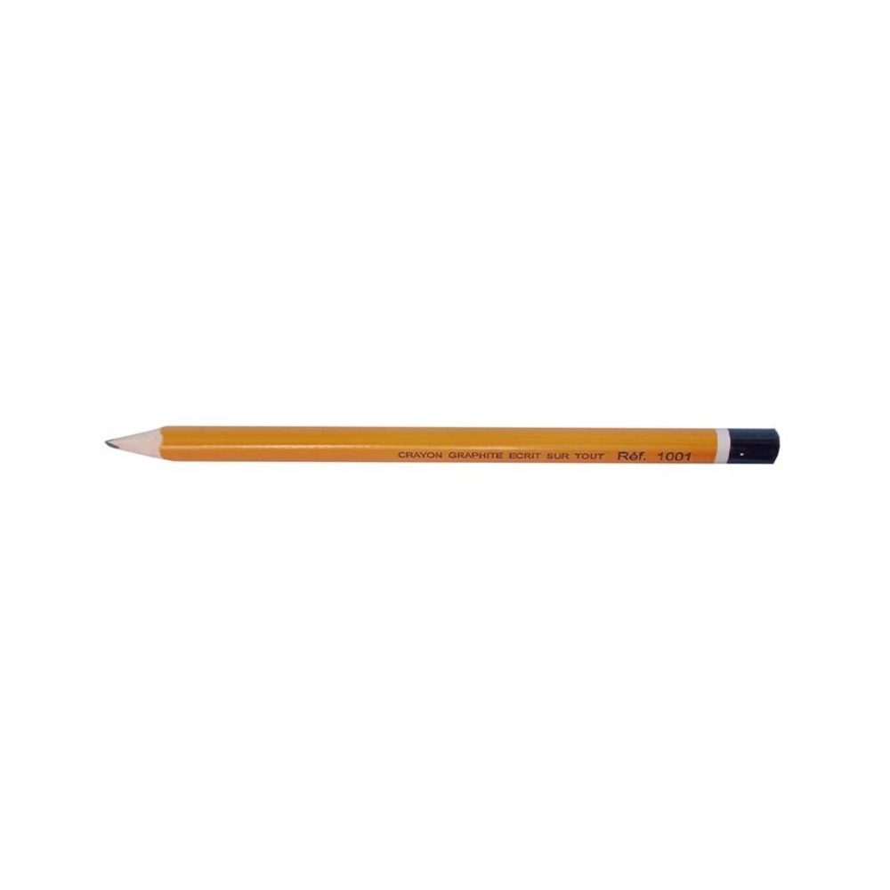 Crayon gras Écritout pour marquage tous supports - RAIMONDI - 1001