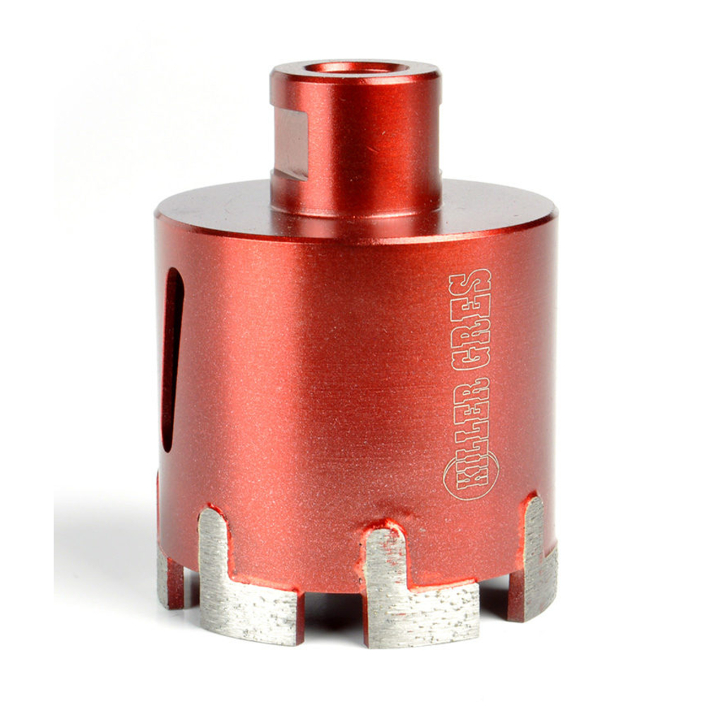 FRAISE SINT DIAMANTÉE X MEULEUSE ∅ 60 - RAIMONDI - 22737