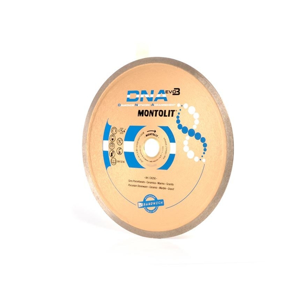 DISQUE COURONNE CONTINUE DNA ∅300 - RAIMONDI - 48387