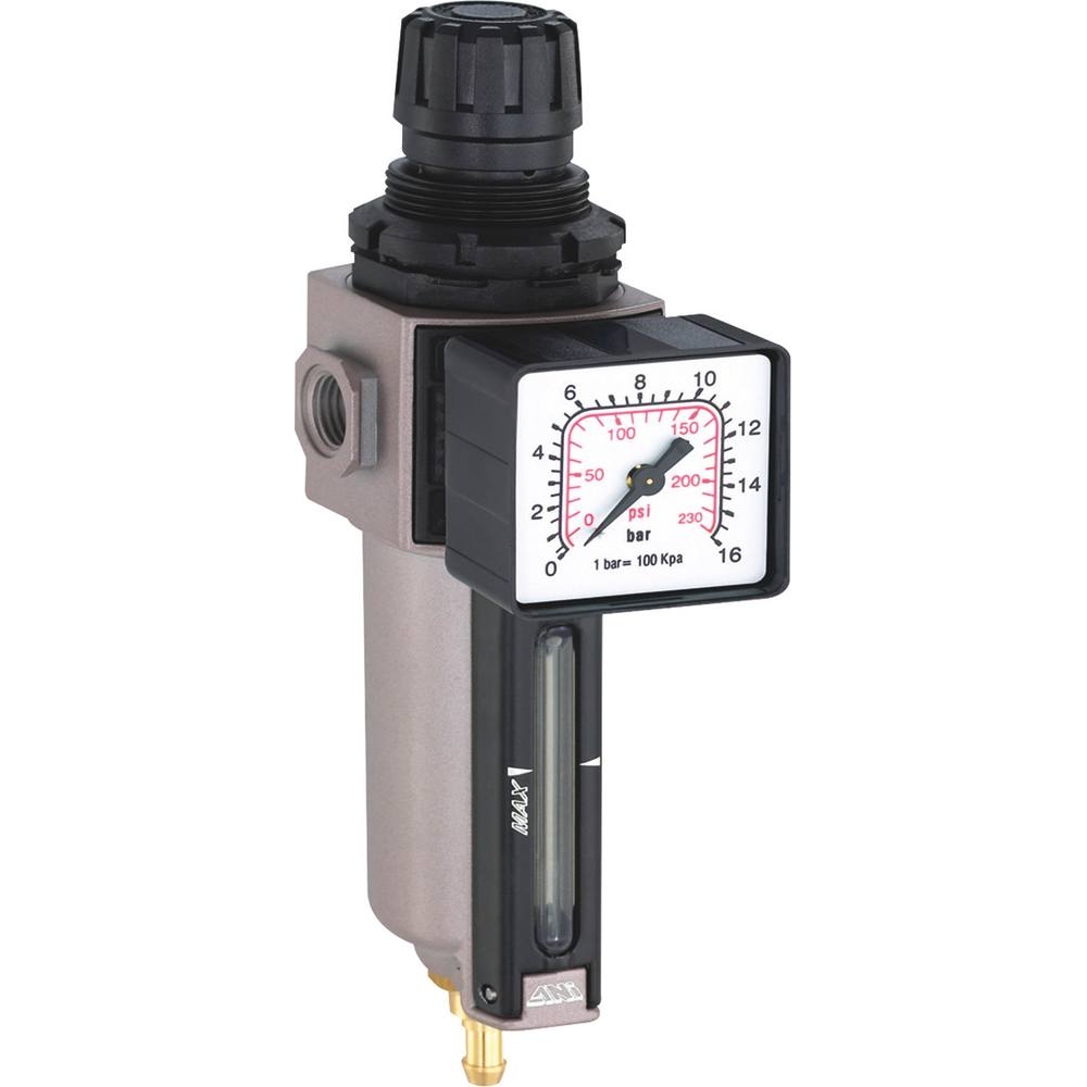 Régulateur avec filtre à air femelle 1/4