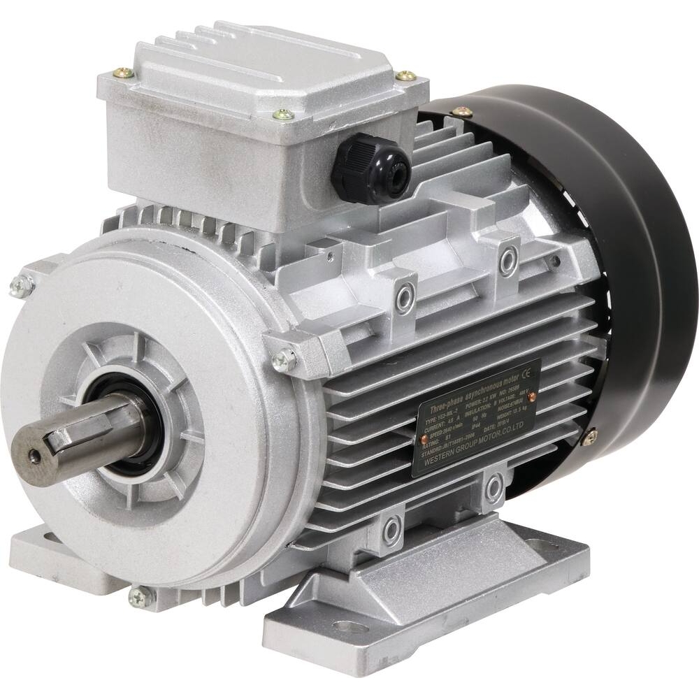Moteur électrique 3CV 400V 3000 tr/min - 07002