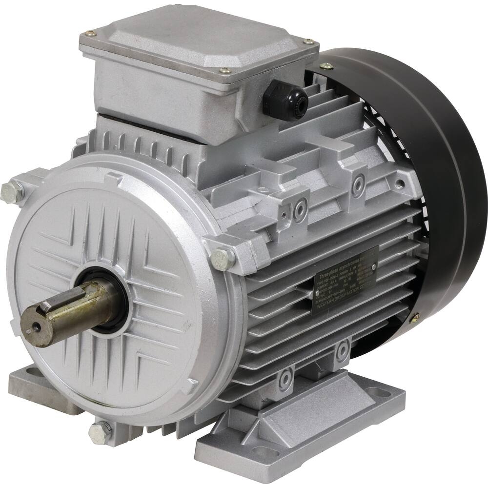 Moteur électrique 5,5CV 400V 3000 tr/min - 07004
