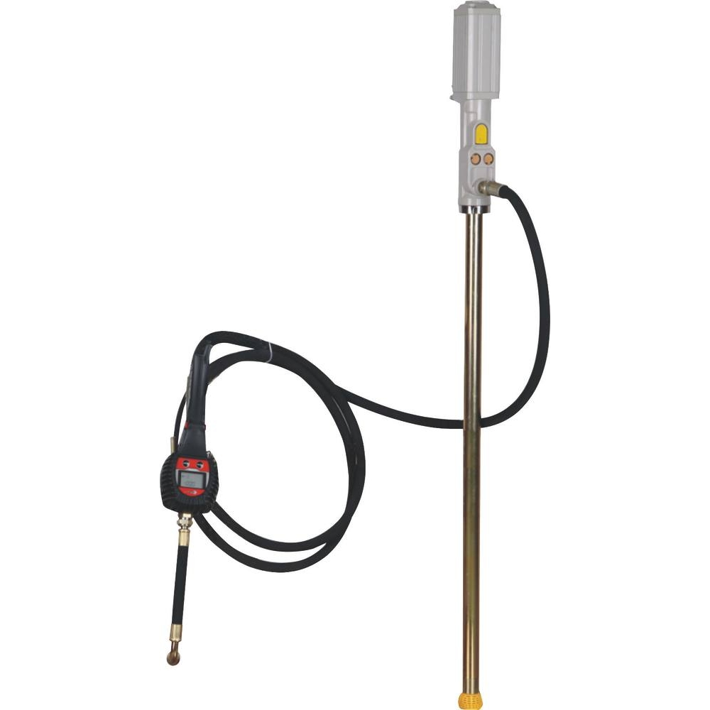 Ensemble pneumatique huile 180-220kg 3:1 avec pistolet digital DRAKKAR - 07146