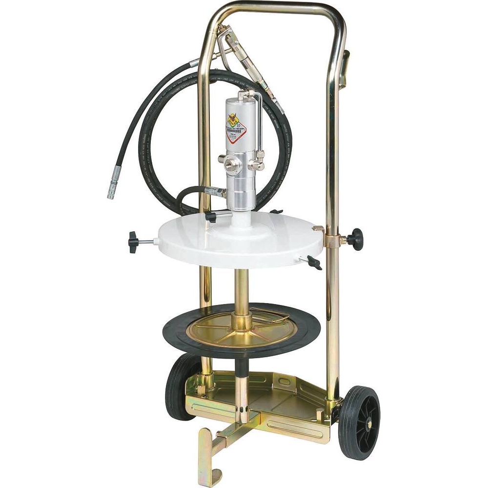 Ensemble pneumatique graisse 12/30kg 50:1 avec pistolet tuyau 4m et chariot 2 roues RAASM - 07268