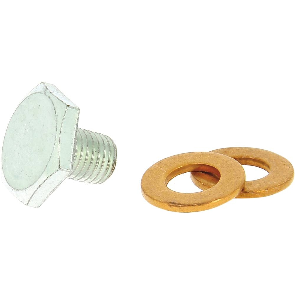 Bouchon de vidange M10 et 2 joints cuivre - - 10621