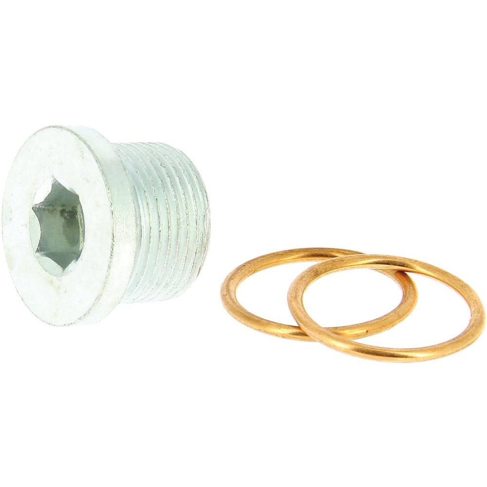 Bouchon de vidange M22 et 2 joints métalloplastiques - - 10629