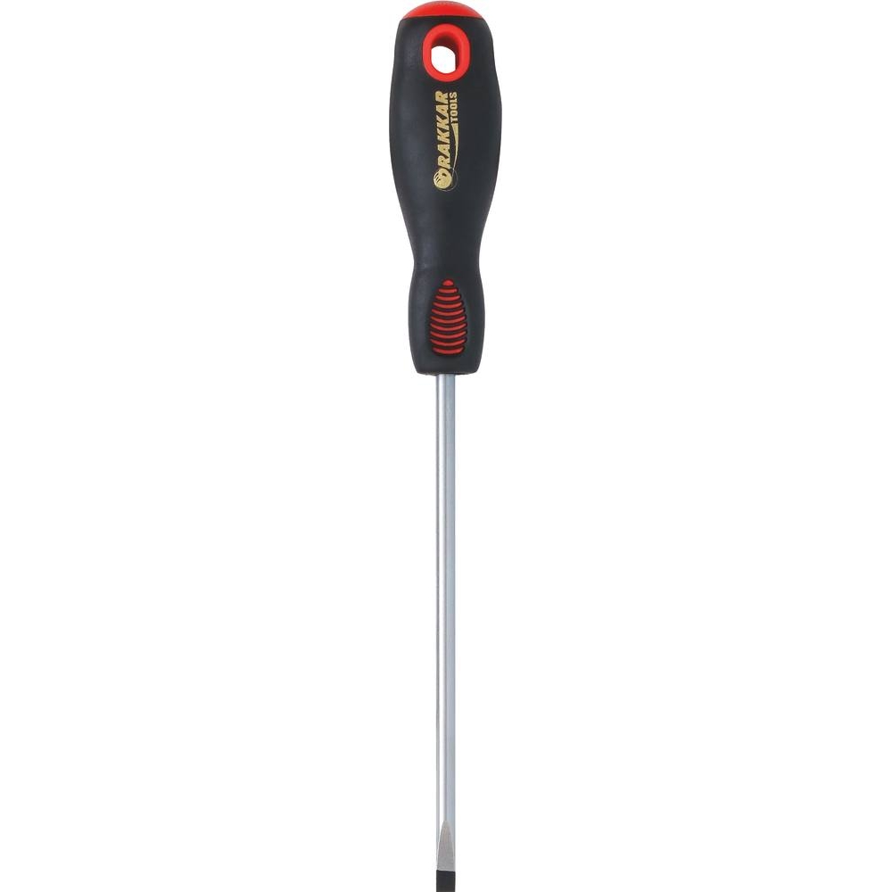 Tournevis plat 4x100mm - carte DRAKKAR TOOLS - 13241
