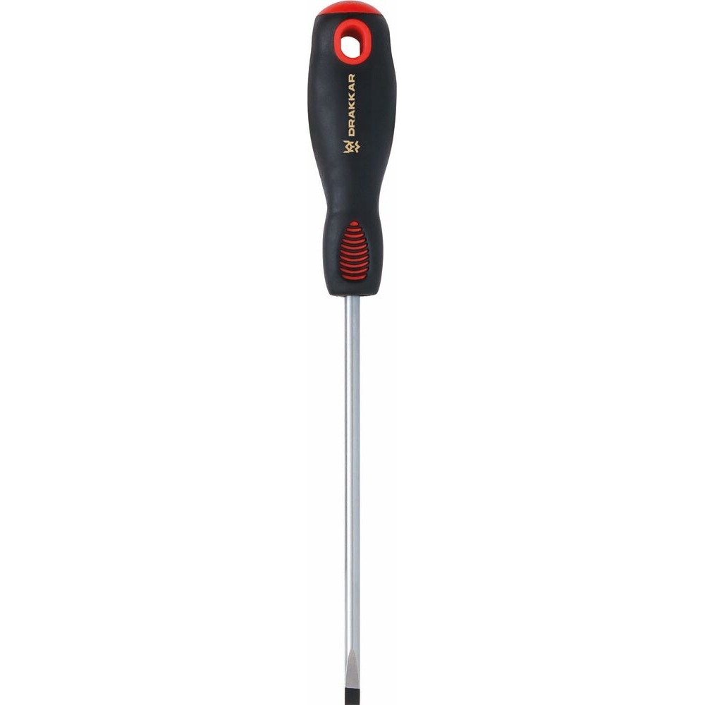 Tournevis plat 4x100mm DRAKKAR TOOLS - 13261