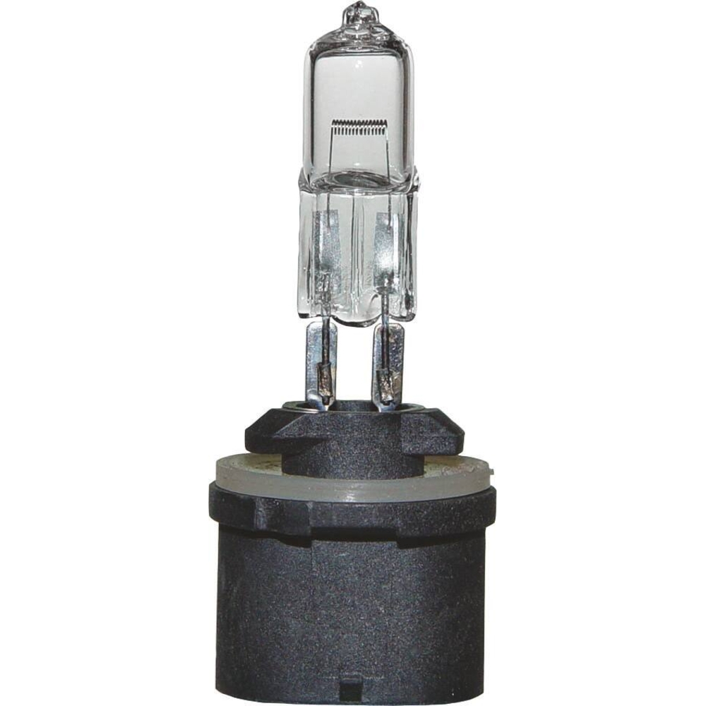 Ampoule H885 12V 50W PG13 SODELEC - 16022