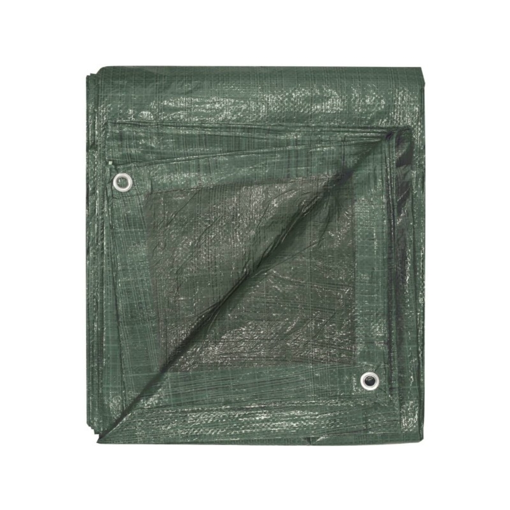 Bache de couverture 2m x 3m 80gr - 18300