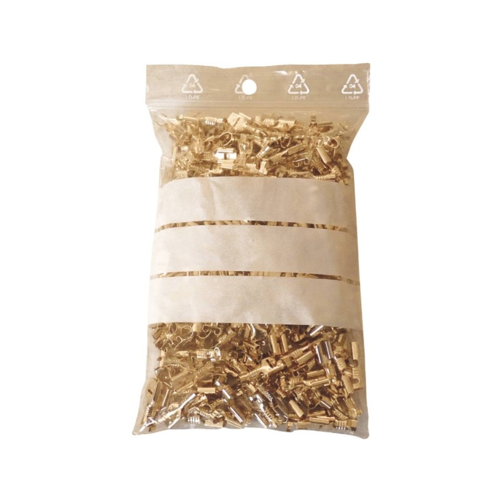 1000 sachets fermeture pression 100x150 bde bl. - 19224