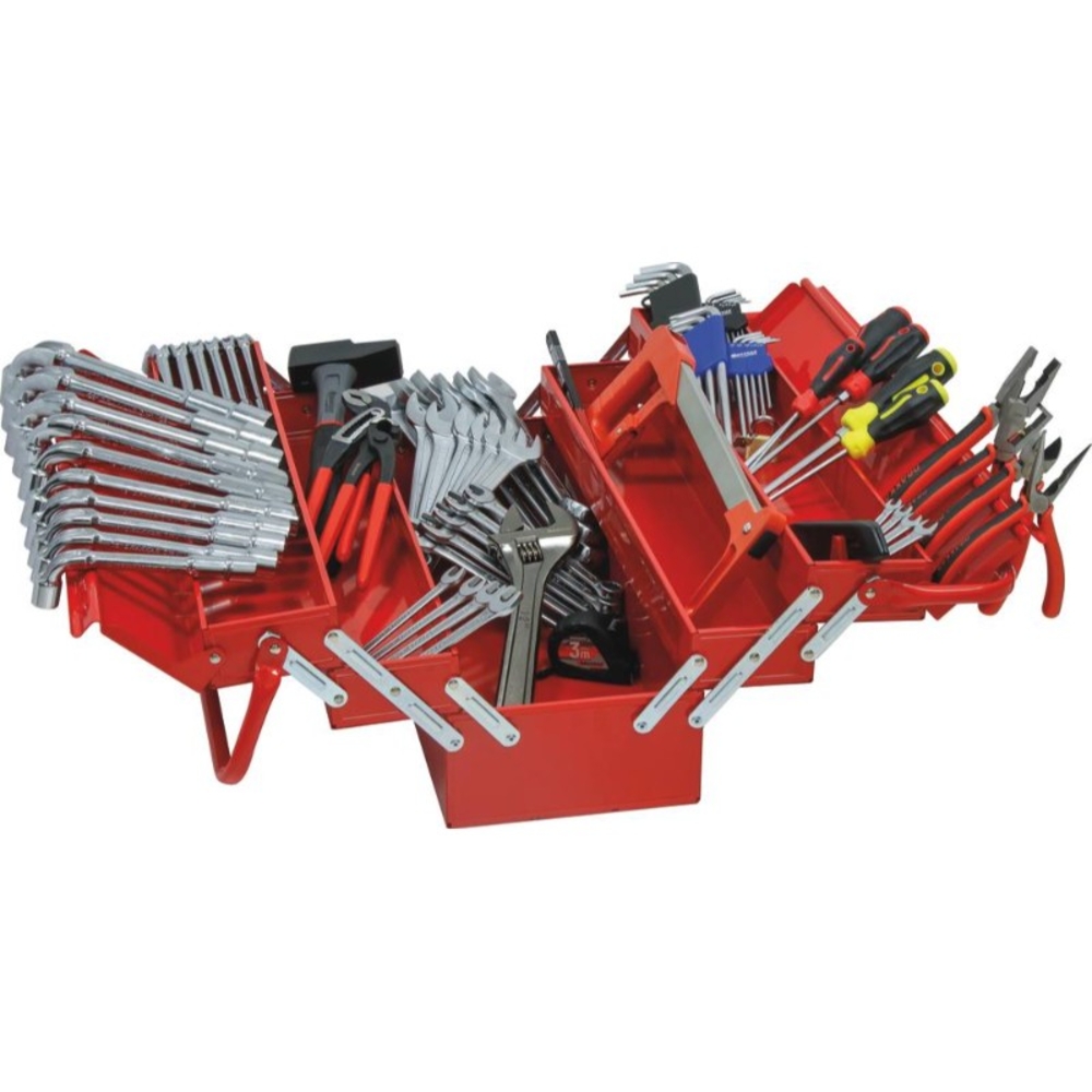 Composition 79 pcs avec caisse a outillage DRAKKAR TOOLS - 25002