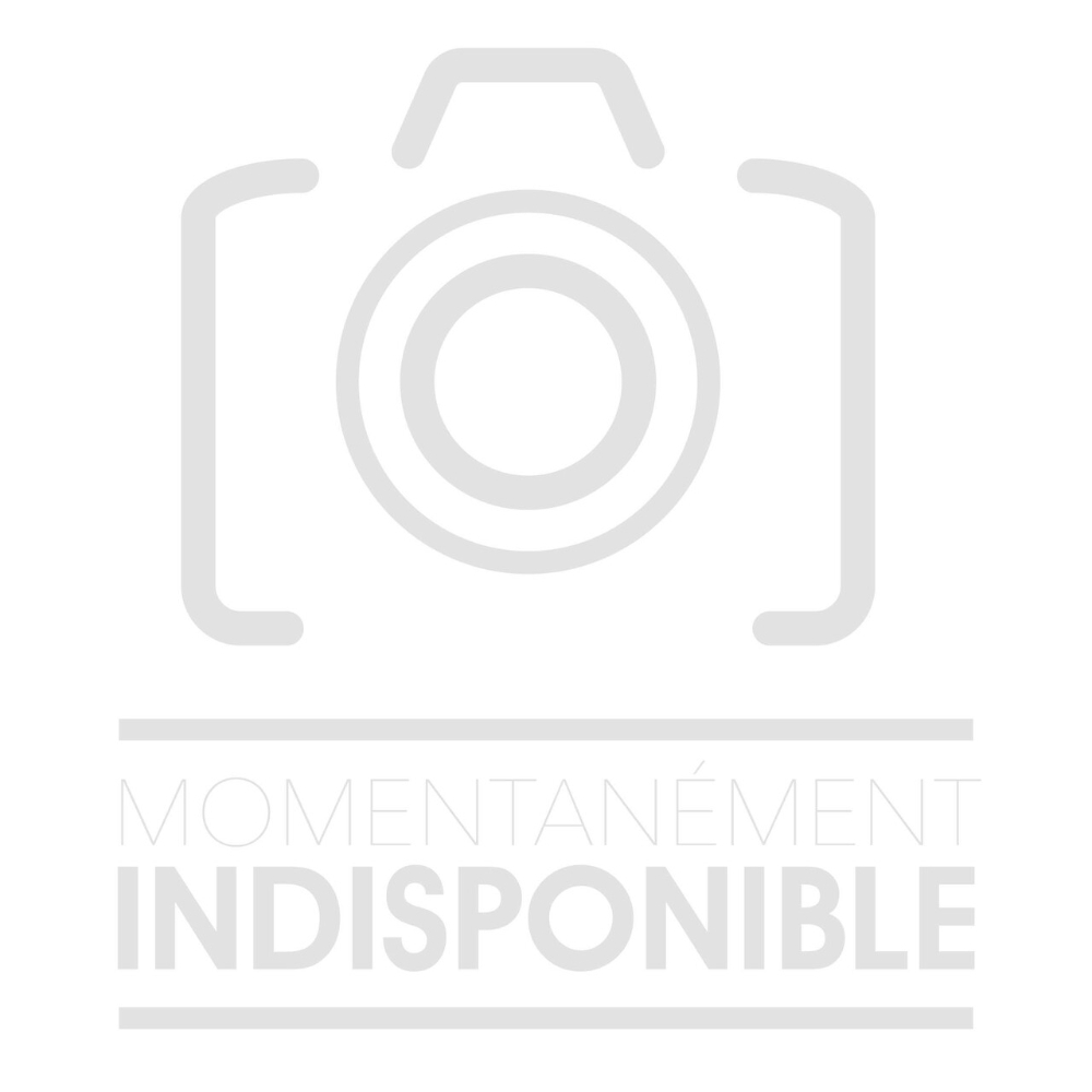 LANCE DOUBLE 2M AVEC RACCORD ET BUSE BASSE PRESSION - SCHNEIDER NHP - 50345