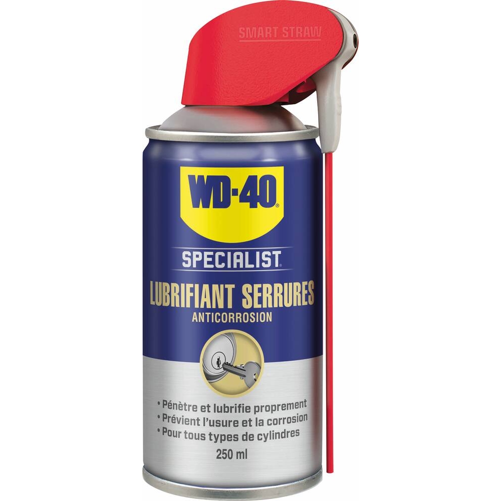 Lubrifiant serrures avec tête 2 jets - aérosol 250ml WD-40 - 61984