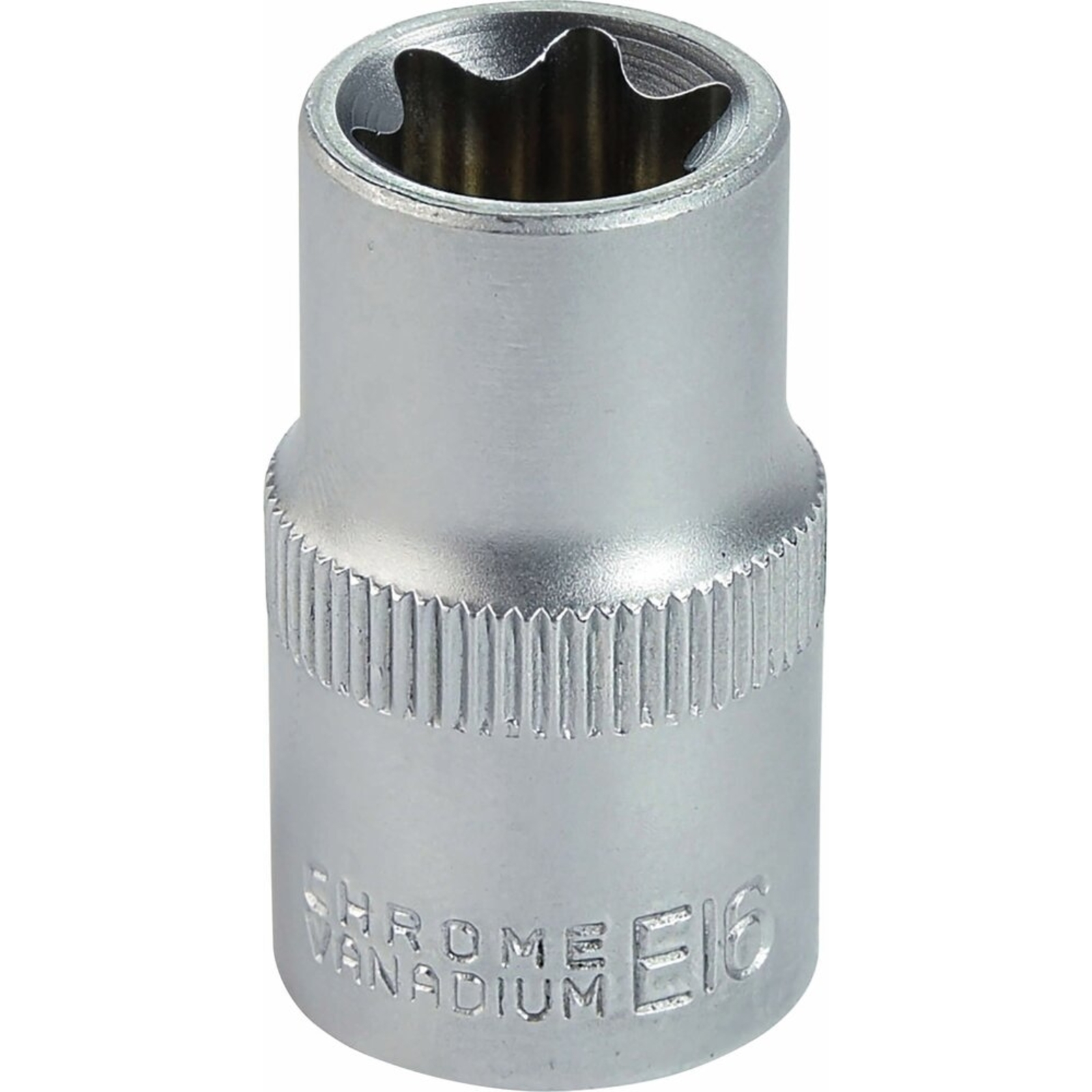 Douille Torx 1/2 E16  DRAKKAR TOOLS - 67979