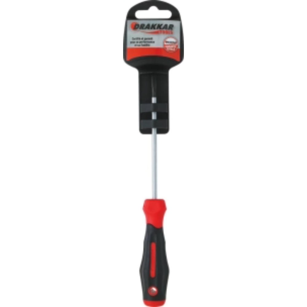 TOURNEVIS PLAT MECANICIEN - LAME DROITE 4*100 S - DRAKKAR TOOLS - 69081