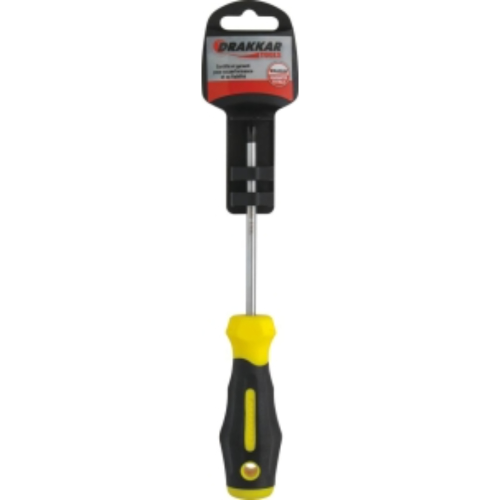 TOURNEVIS PHILLIPS PH1*100 S - DRAKKAR TOOLS - 69230