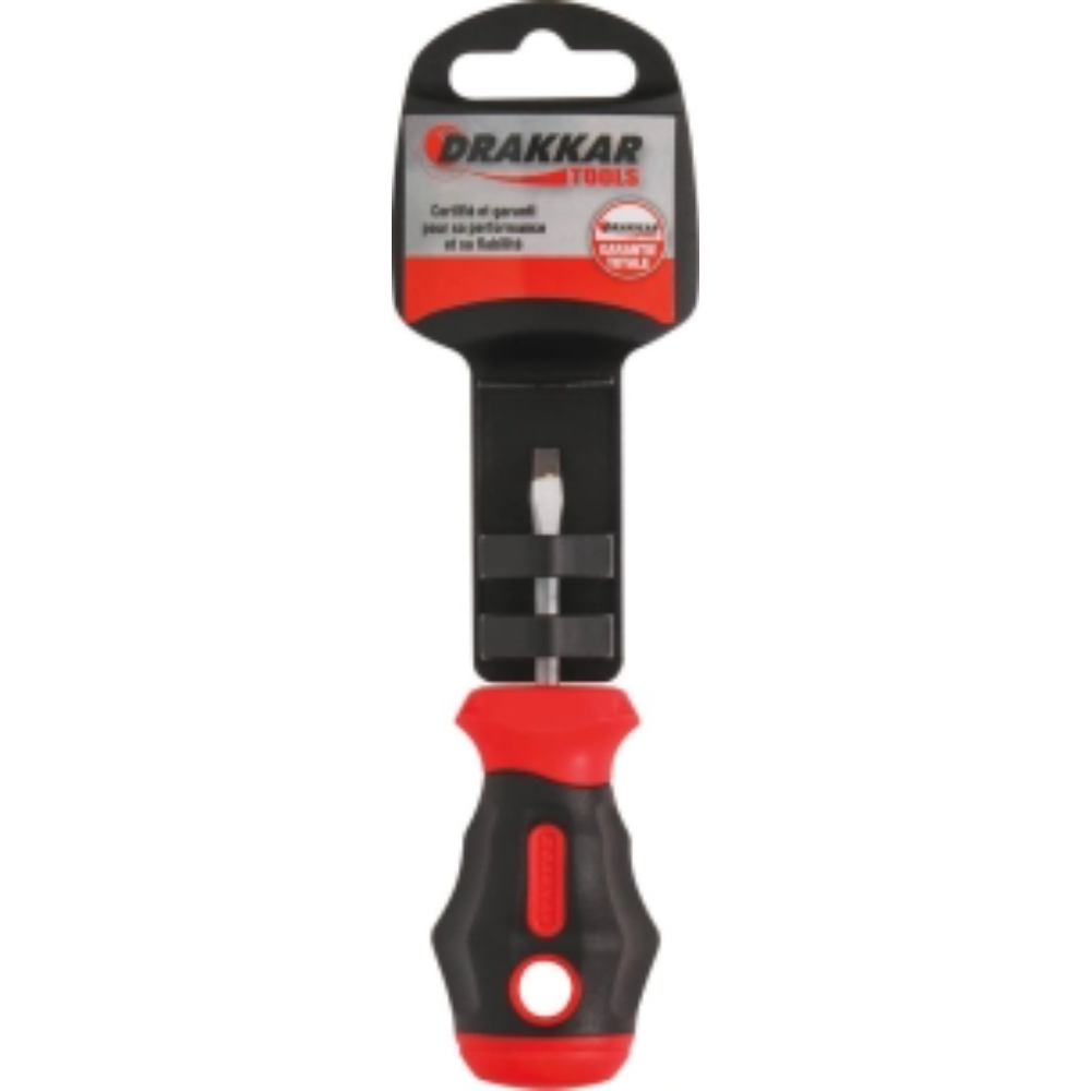 TOURNEVIS TOM POUCE PLAT 4*38 S - DRAKKAR TOOLS - 69649