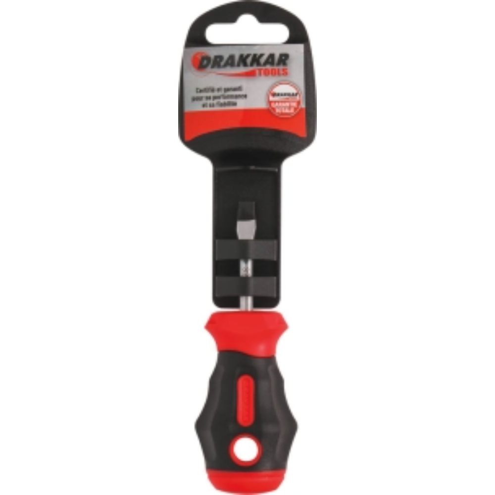 TOURNEVIS TOM POUCE PLAT 5,5*38 S - DRAKKAR TOOLS - 69651