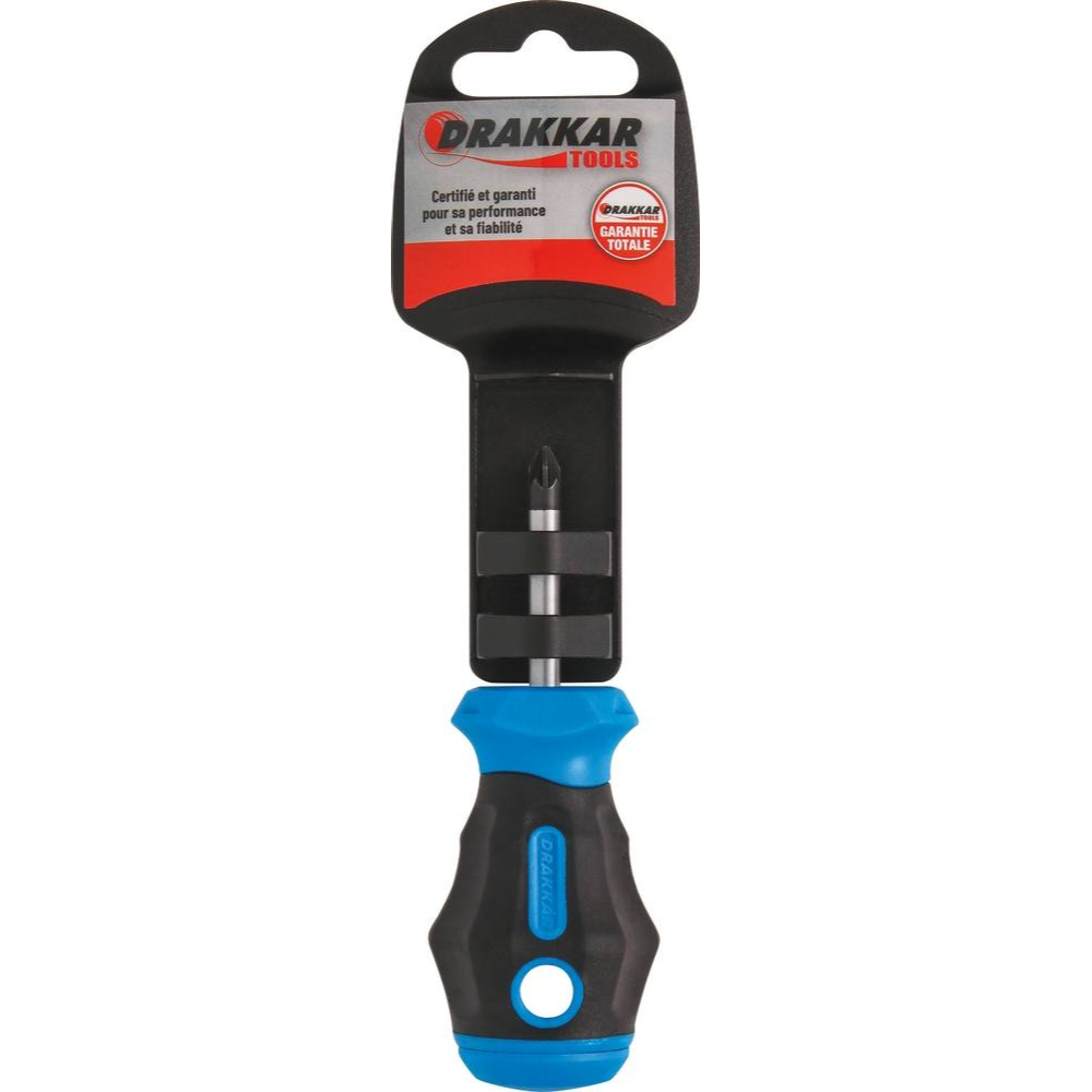 TOURNEVIS TOM POUCE POZIDRIV PZ1*38 S - DRAKKAR TOOLS - 69669