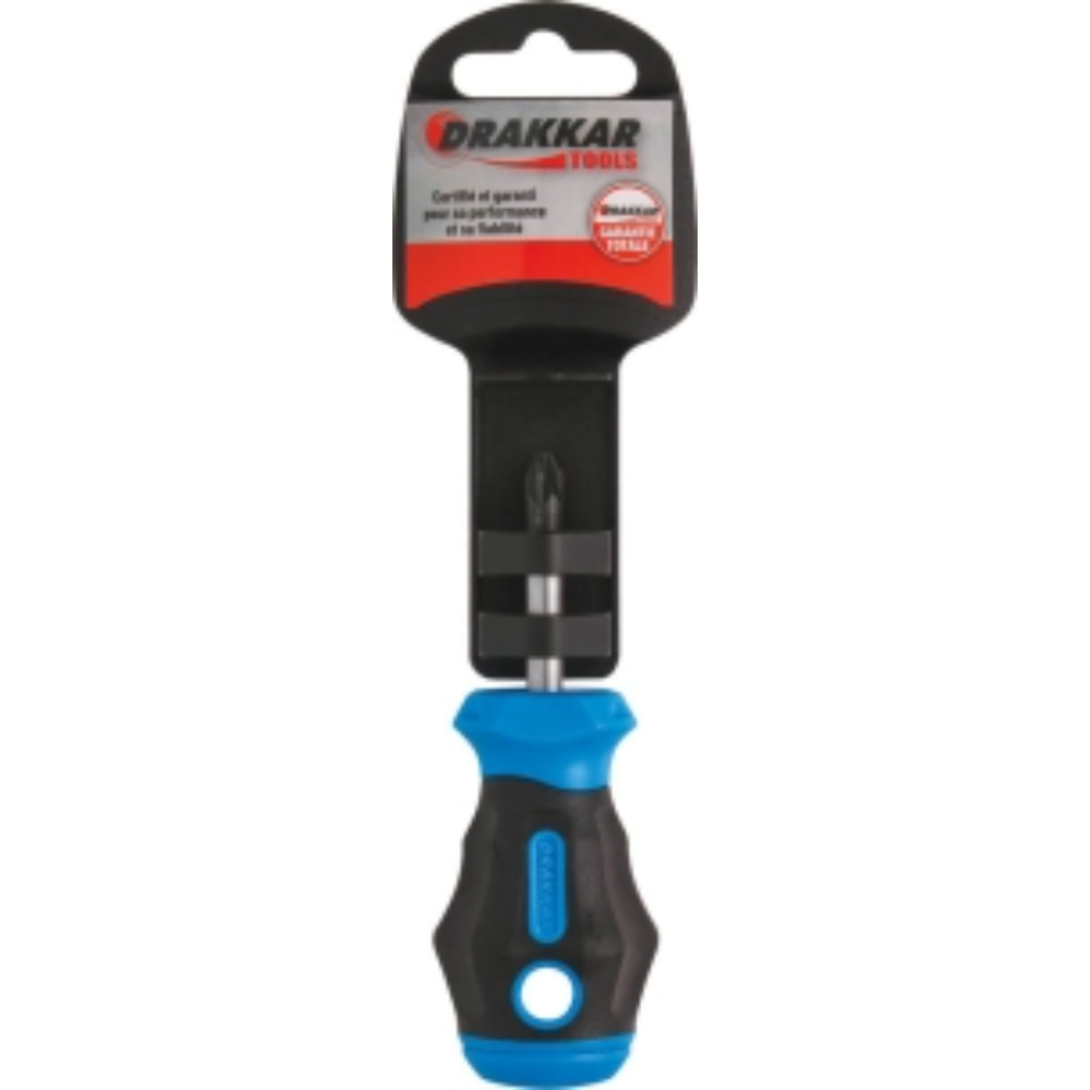 TOURNEVIS TOM POUCE POZIDRIV PZ2*38 S - DRAKKAR TOOLS - 69671