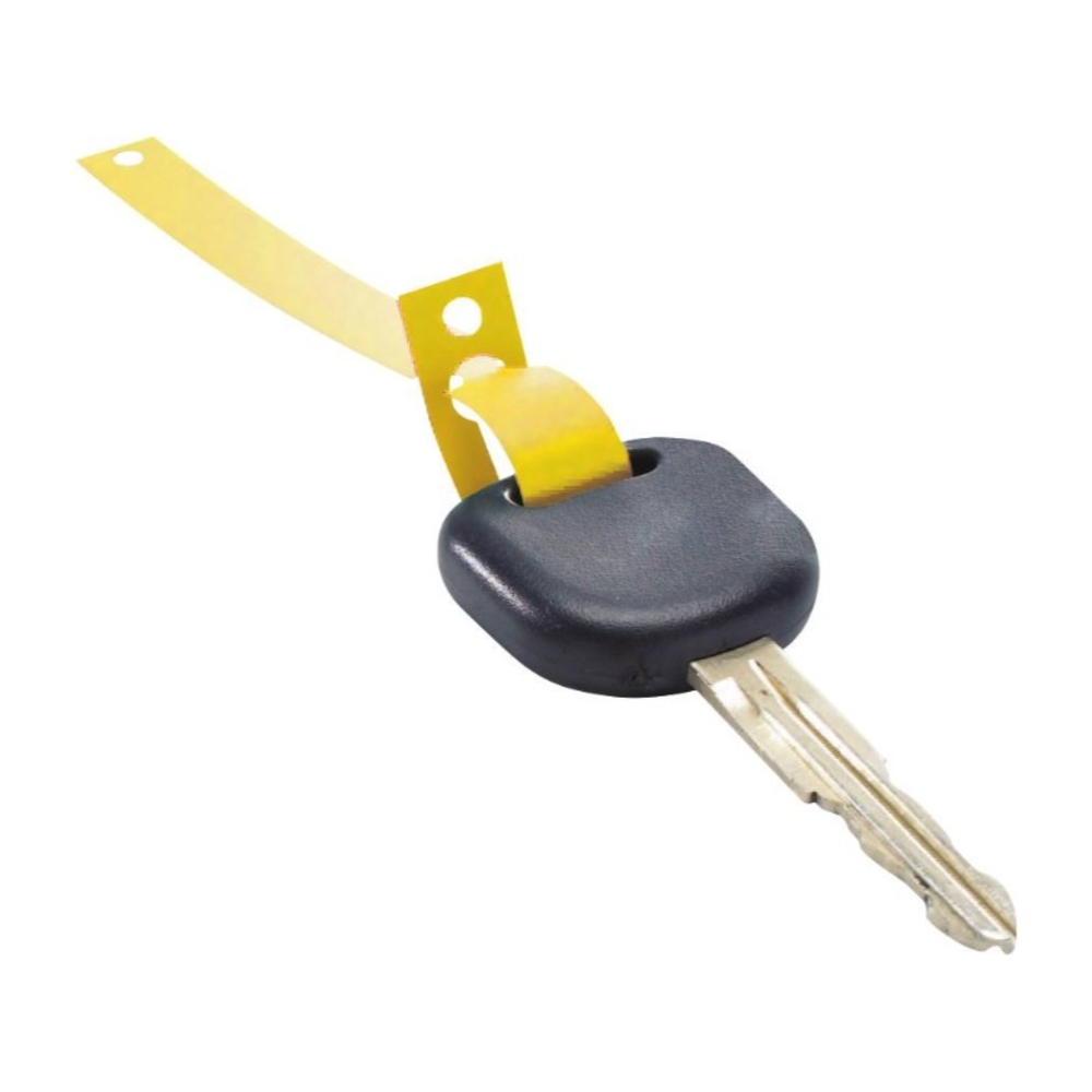 Porte EICHNER - 74662