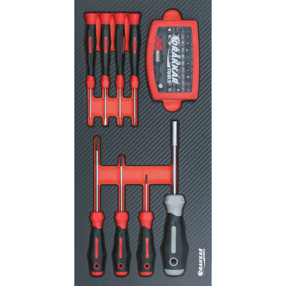 Module mousse 402x189mm carbone tournevis mécaniciens et embouts - 40 pcs DRAKKAR TOOLS - 84259