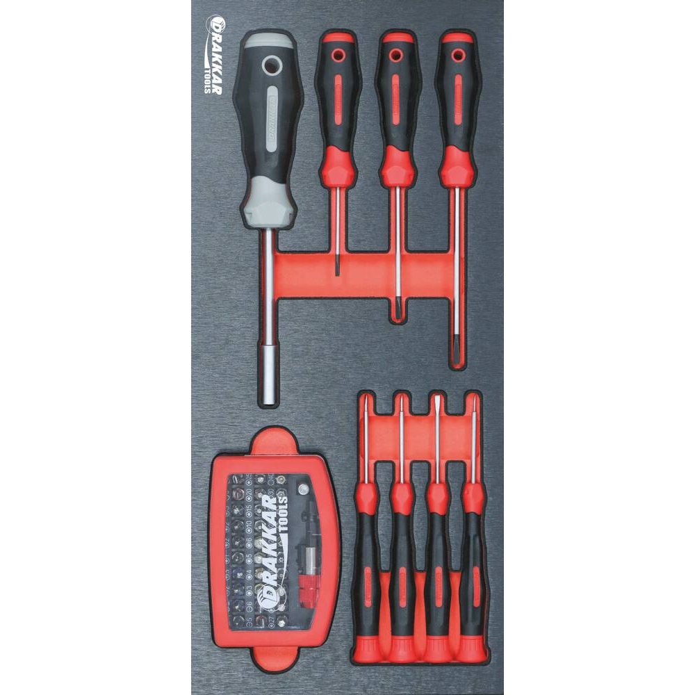 Module mousse 395x178mm métal tournevis mécaniciens et embouts - 40 pcs DRAKKAR TOOLS - 84260