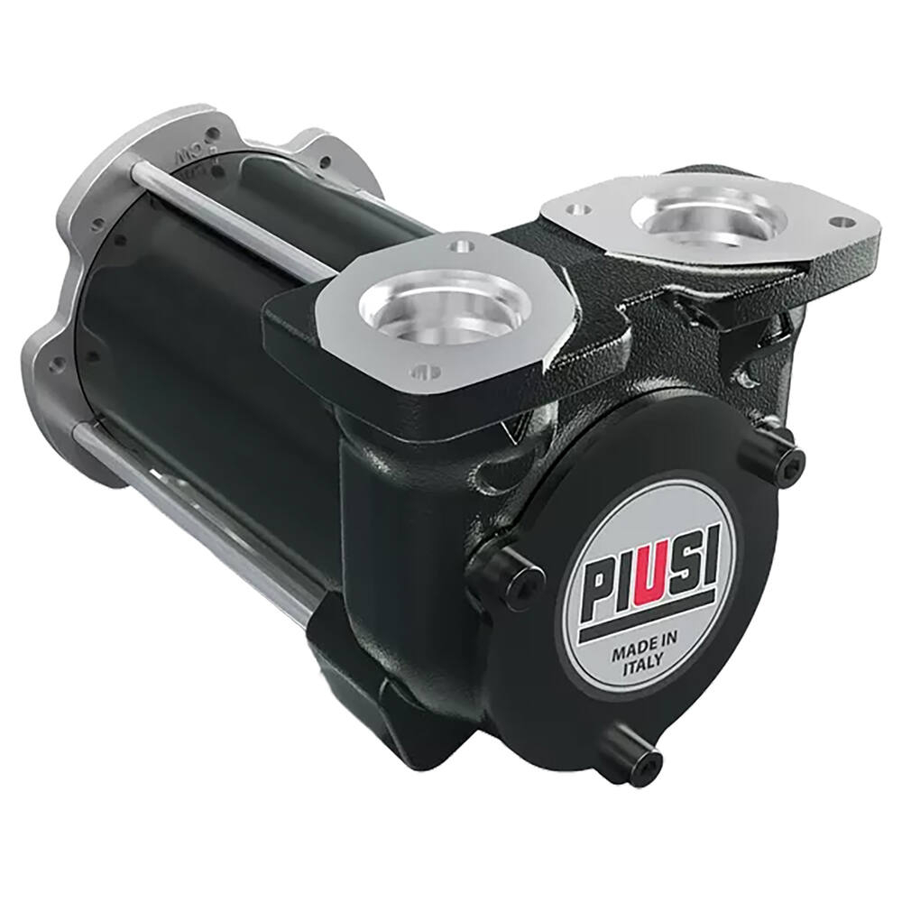 POMPE À GASOIL BP3000 12V / POMPE SEULE POUR 08560 - PIUSI - 91252